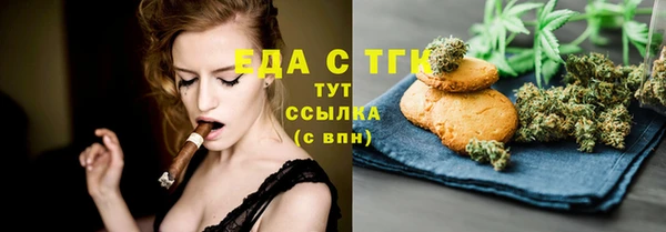 сатива Горняк