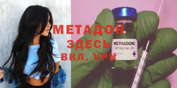 сатива Горняк