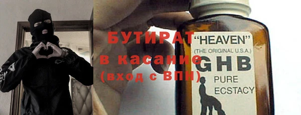 сатива Горняк
