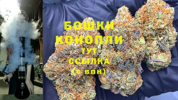сатива Горняк