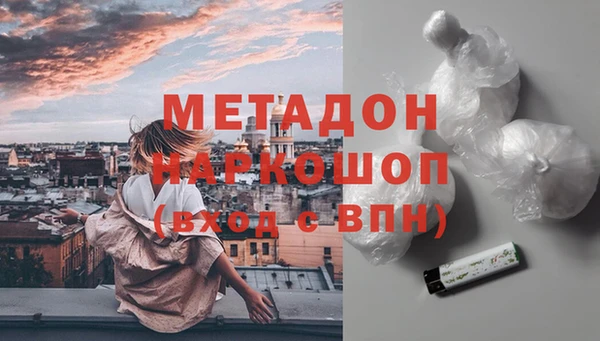 сатива Горняк