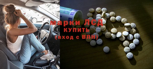 сатива Горняк