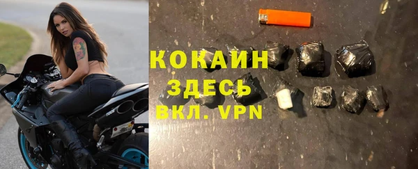 сатива Горняк