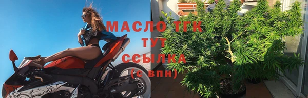 сатива Горняк